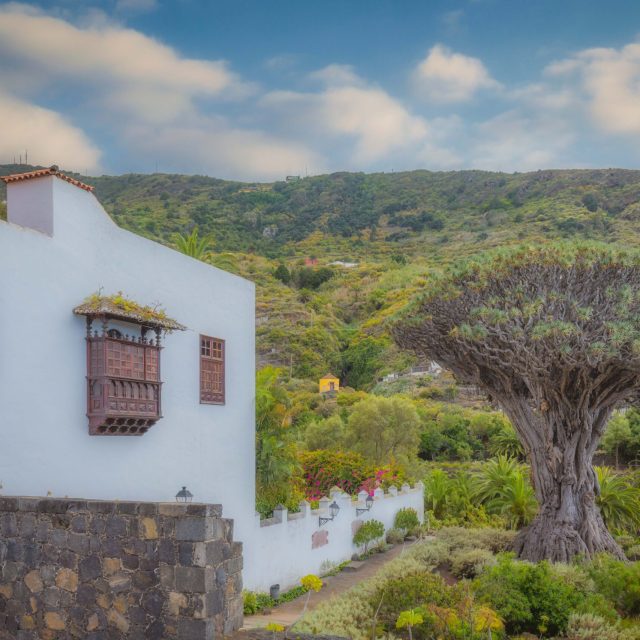 Fedezze fel Icod de los Vinos varázsát