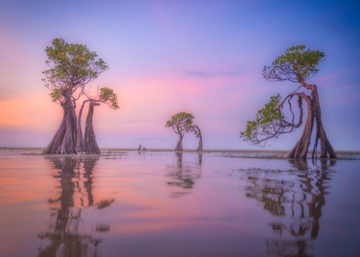 Landscape
